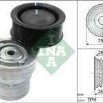 INA 534060310