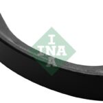 INA 555001010