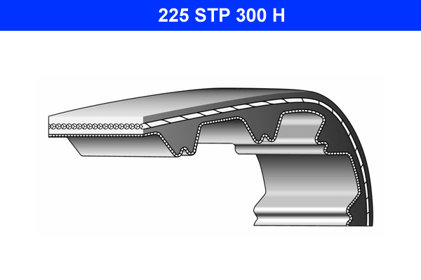 DAY-225-STP-300-H DAYCO 225 STP 300 H - Görsel 1