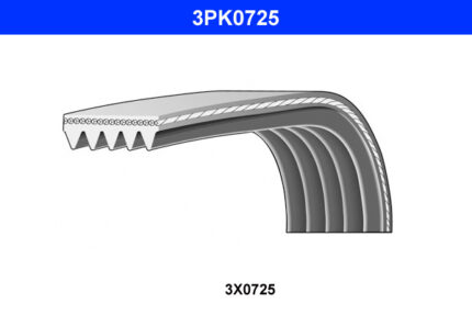 DAYCO 3 PK 0725