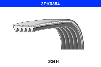 DAYCO 3 PK 0884