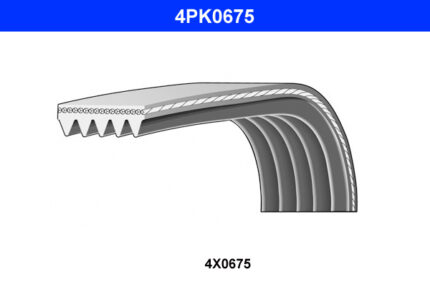 DAYCO 4 PK 0675