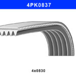 DAYCO 4 PK 0837