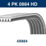 DAYCO 4 PK 0884 HD
