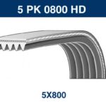 DAYCO 5 PK 0800 HD