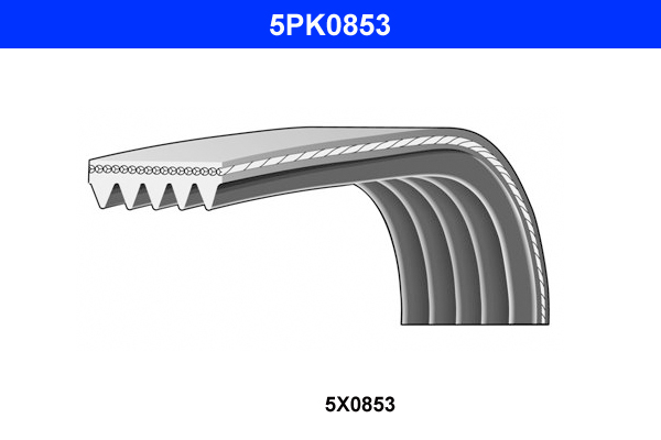 DAY-5-PK-0853 DAY 5 PK 0853 DAYCO Rulman Ticaret