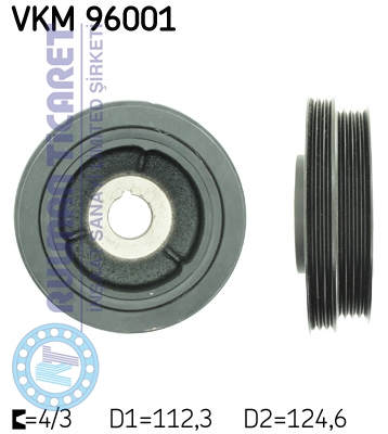 SKF-VKM96001
