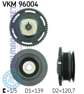 SKF-VKM96004
