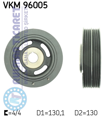 SKF-VKM96005