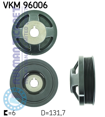 SKF-VKM96006