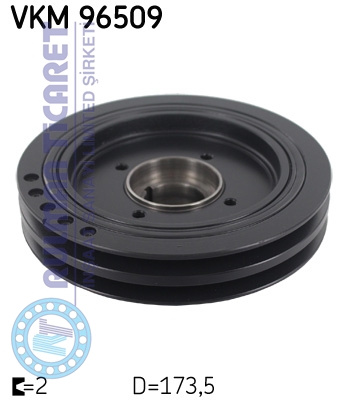 SKF-VKM96509