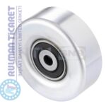 SNR GA36919