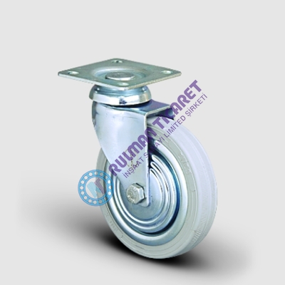 141-10024001 EP01 SPRG 100 | 141-10024001 | EMES TEKER - Görsel 1