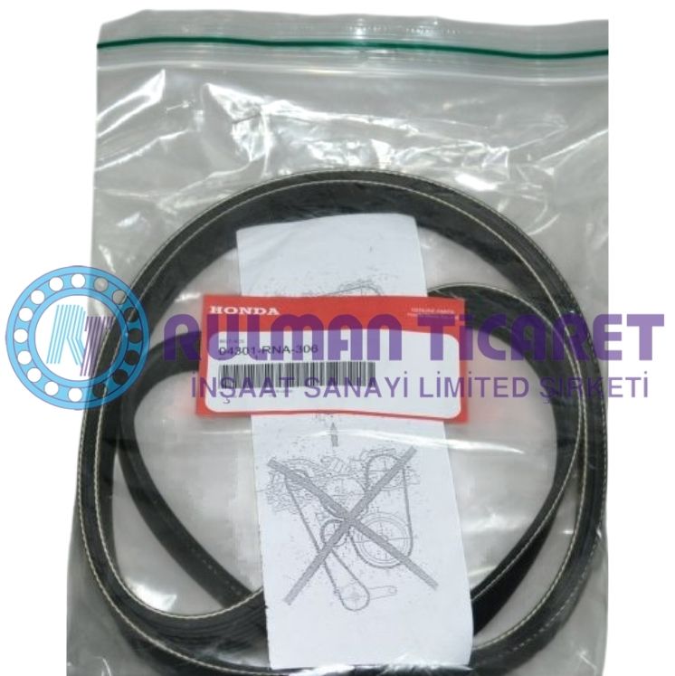 04301-RNA-306 04301-RNA-306